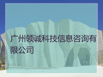 广州领诚科技信息咨询_广州汇成数据服务